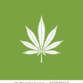 cannabis cannabis